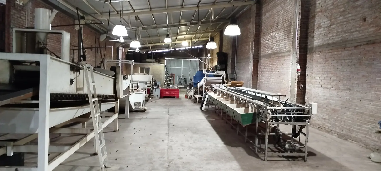 Planta agroindustrial en funcionamiento – Empaquetadora FRUTAS FALOR SRL