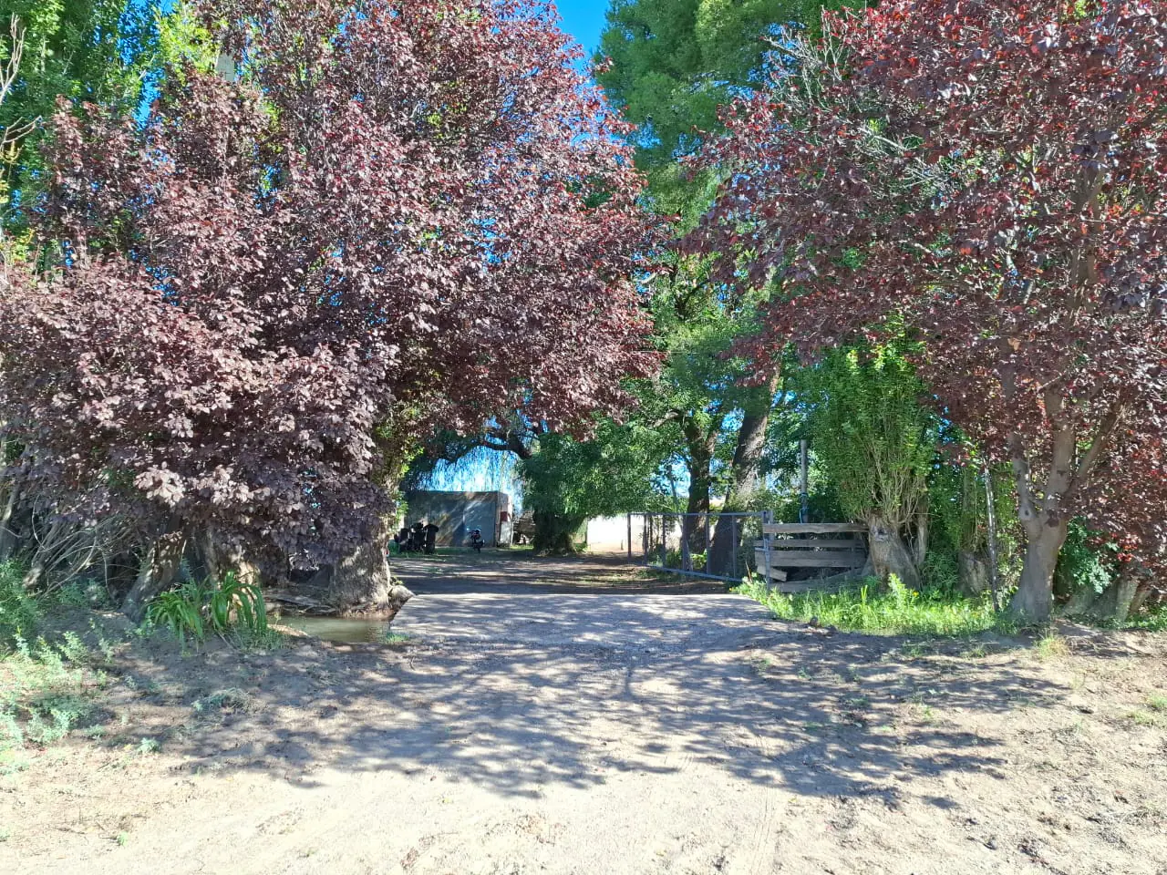 Finca de 9,5 hectáreas en Goudge – Oportunidad de inversión